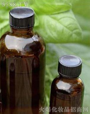 �V���ӓP���yƷ���޹�˾�������ѻ��A�ʹ���