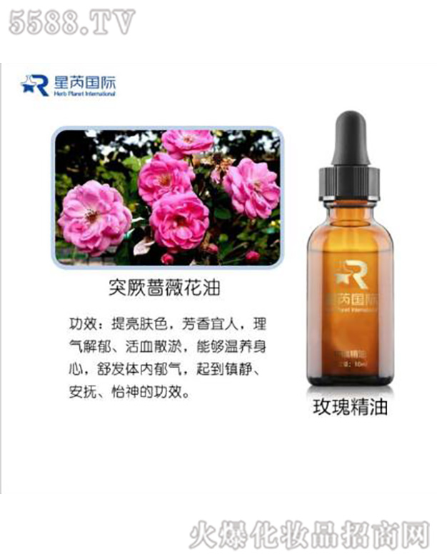 �V�|��������Ƽ����޹�˾��õ�徫��