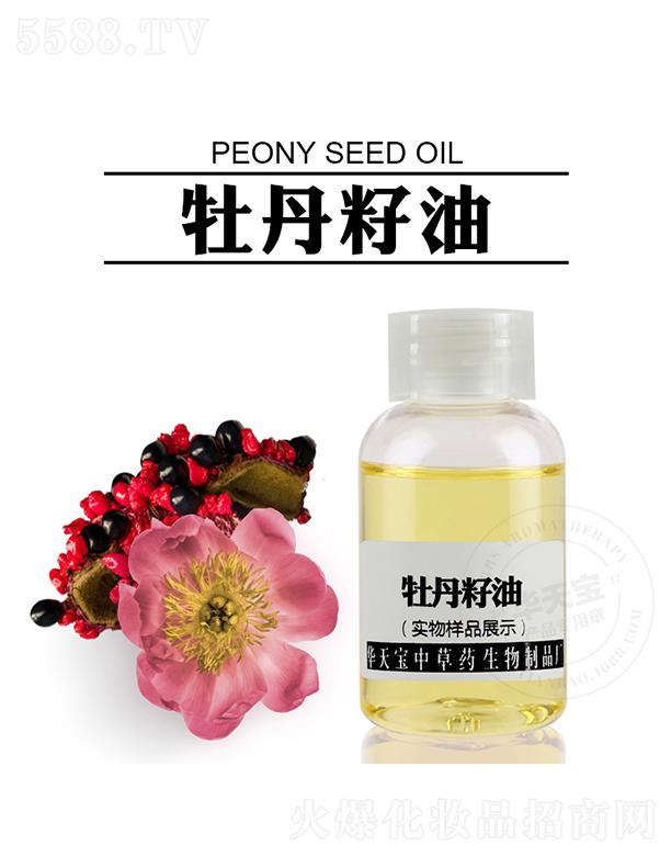 �������A�쌚�в�ˎ������Ʒ�S���A�쌚ĵ������