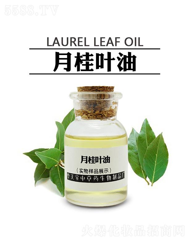 �������A�쌚�в�ˎ������Ʒ�S���A�쌚�¹��~��