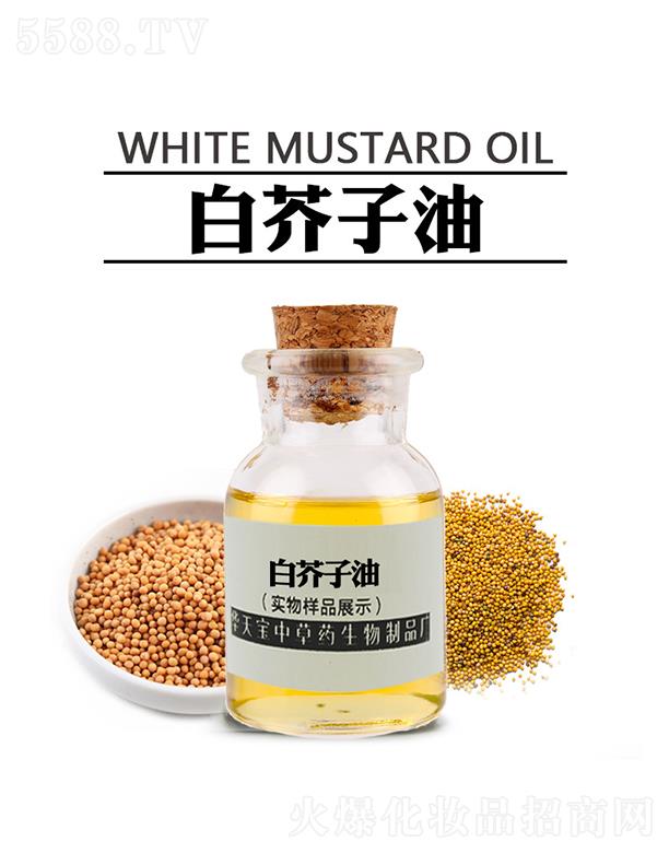 �������A�쌚�в�ˎ������Ʒ�S���A�쌚�׽�����