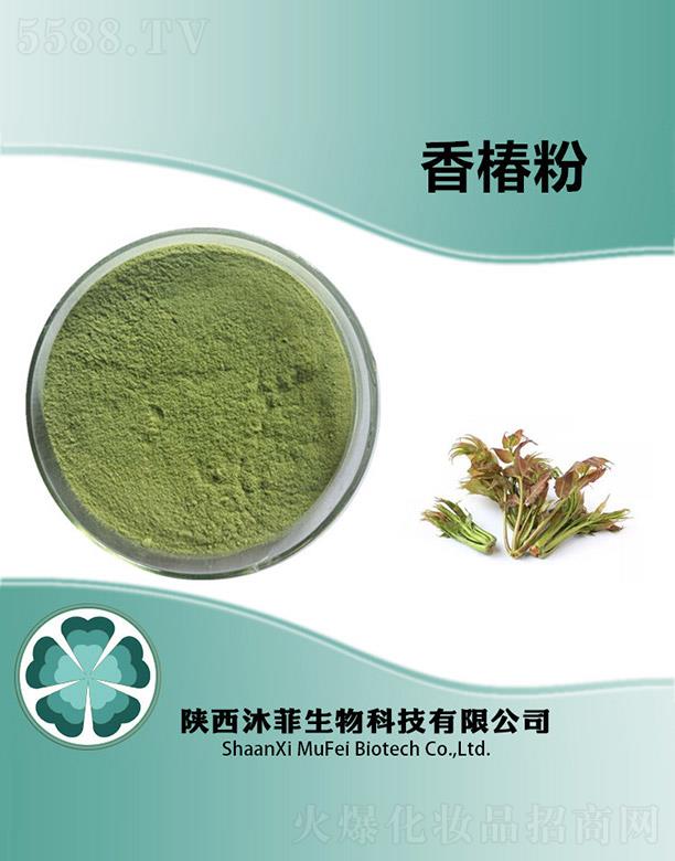 ����������Ƽ����޹�˾������㴻��