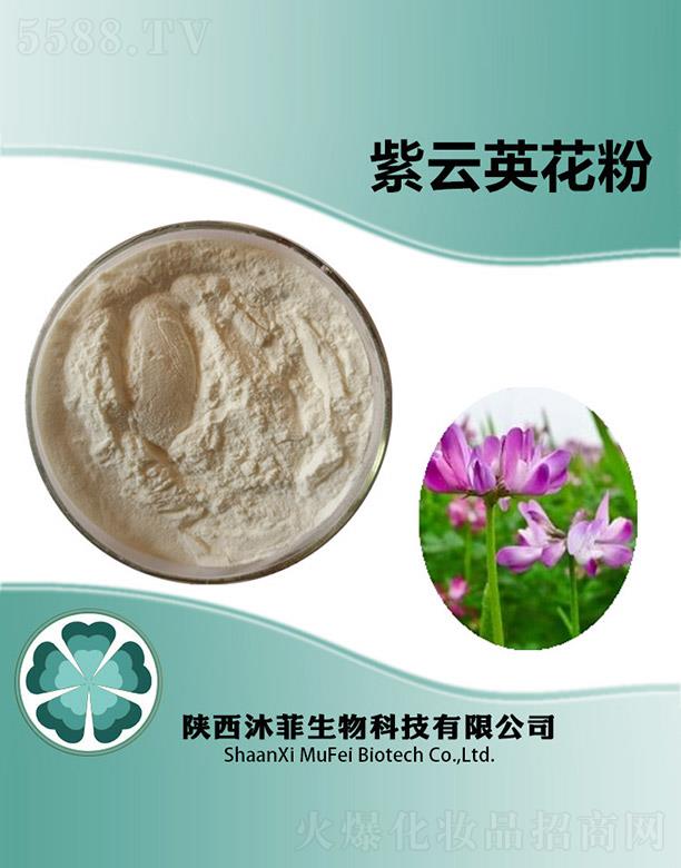 ����������Ƽ����޹�˾���������Ӣ����