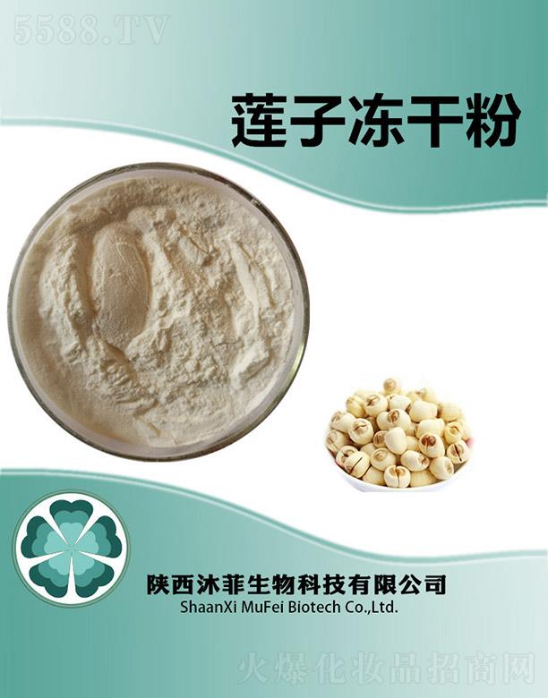 ����������Ƽ����޹�˾�����ɏ�Ӄ��ɷ�