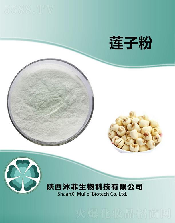 ����������Ƽ����޹�˾�����ɏ�ӷ�