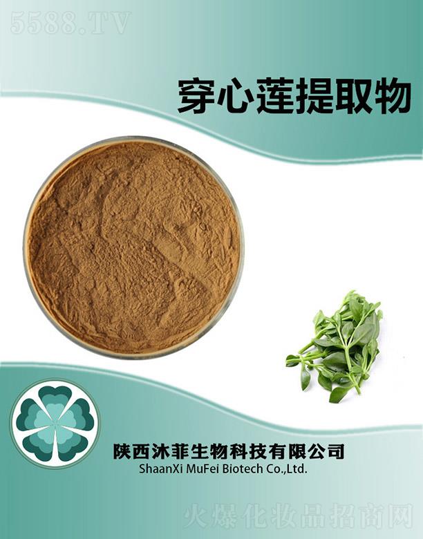 ����������Ƽ����޹�˾����ƴ���ɏ��ȡ��