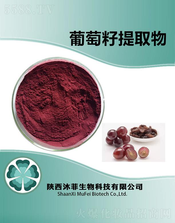 ����������Ƽ����޹�˾�������������ȡ��