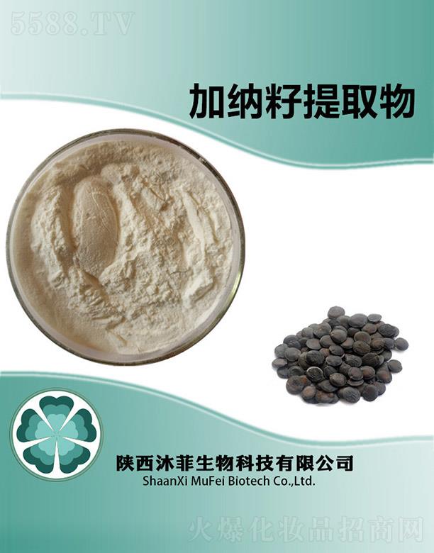 ����������Ƽ����޹�˾����ƼӼ{����ȡ��