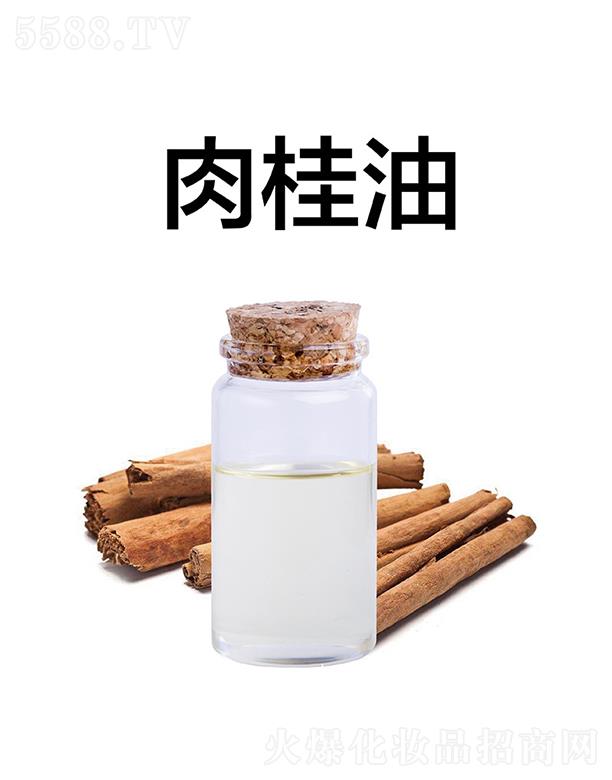 ������������Ƽ����޹�˾�����������