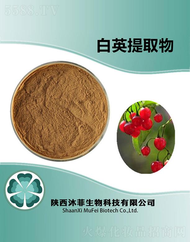 ����������Ƽ����޹�˾����ư�Ӣ��ȡ��