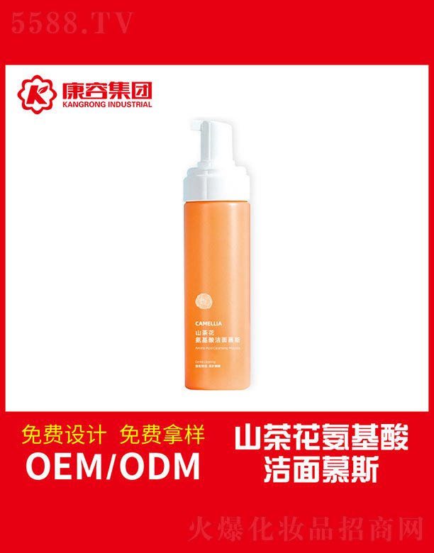 �V�|���݌�(sh��)�I(y��)���޹�˾��ɽ�軨�����ᝍ��Ľ˹