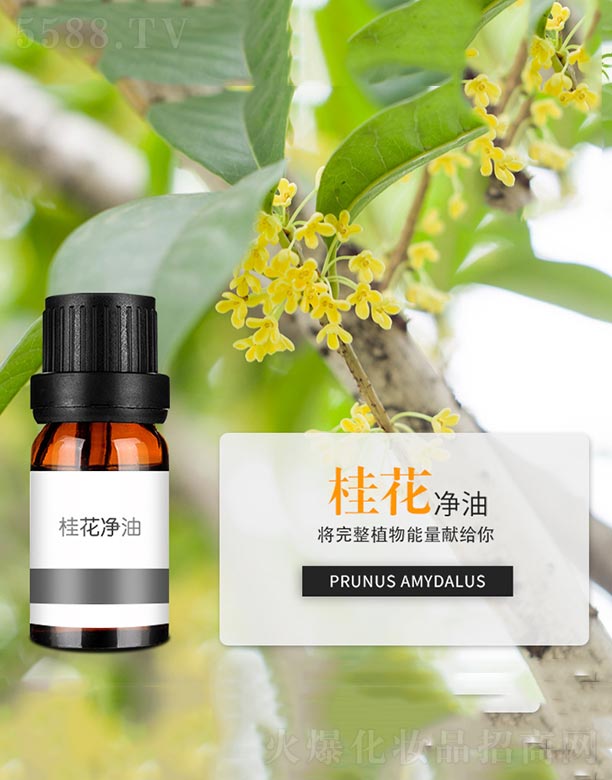 ����ɭ����Ƽ�(���u)���޹�˾���𻨃���