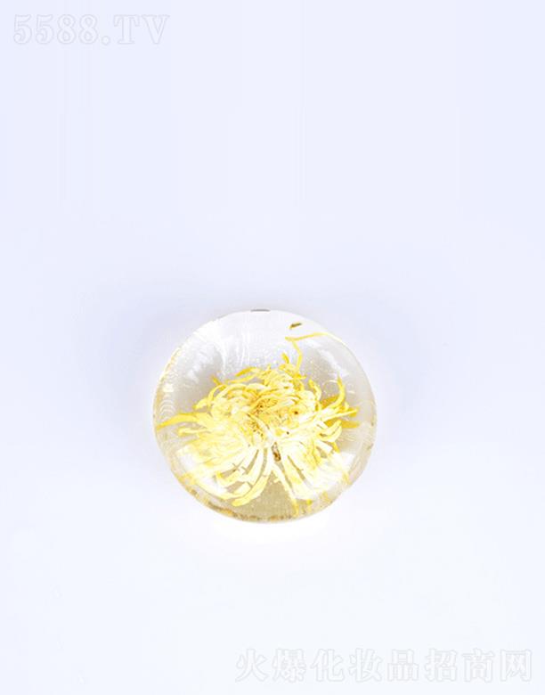 �V����֦���yƷ���޹�˾���V����֦��z�հ������� �澏���w�Ք�ë��