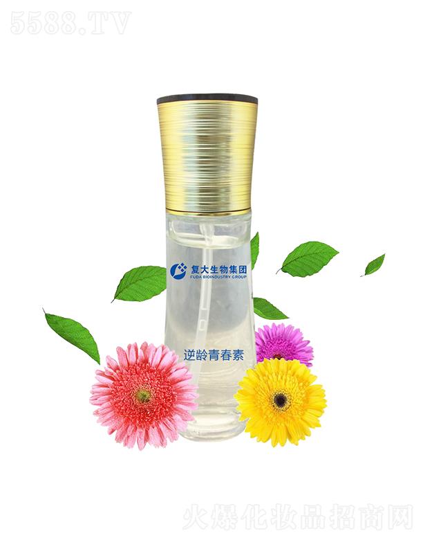 ɽ�|��(f��)������Ƽ����޹�˾����(f��)�����Ｏ�F(tu��n)���g�ഺ�ش��ӹ�