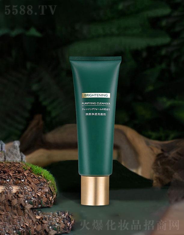 �V���а��g������Ƽ����޹�˾���V���а��g��  ֲ���͟��͸ϴ����   ����坍