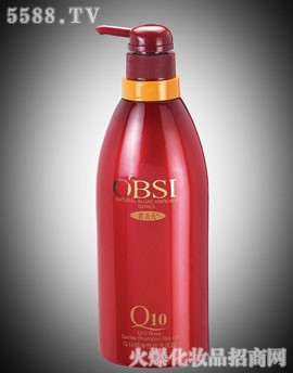 �W����Q10�h���ޏ�(f��)ϴ�l(f��)¶