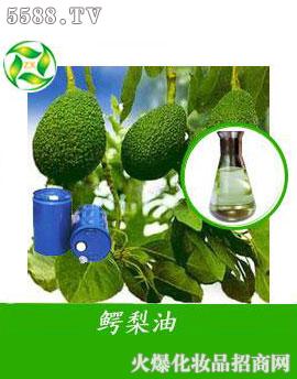 �����{����