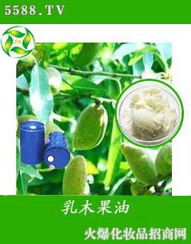 ������ľ����