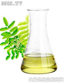 �\���þo�wͨ�j(lu��)��Ħ����