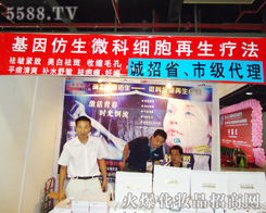 �������΢���|��