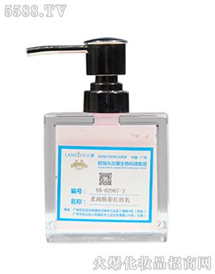 YB-02987-3�᝙���ʼt����