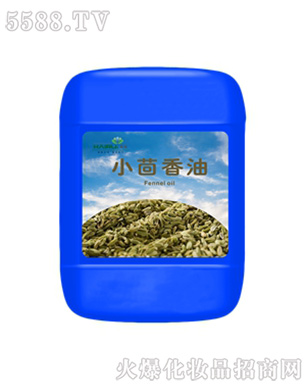 ����С������