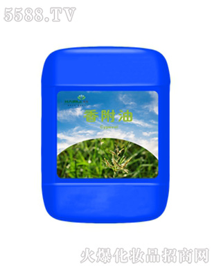 �����㸽����