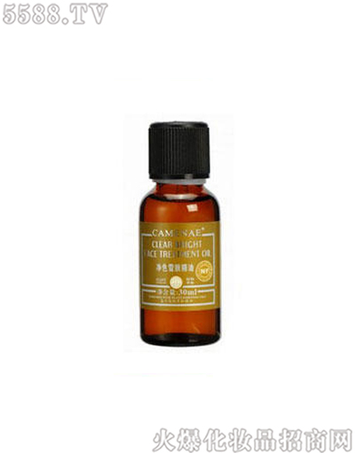 ���Ę���ɫѩ�w����