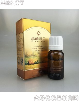 ɭ��������Ⱦ���