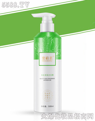 ���������ԡ¶��2S��