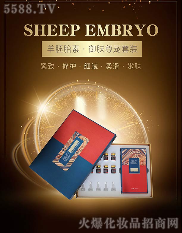 �z·�h������̥��.���w�������b