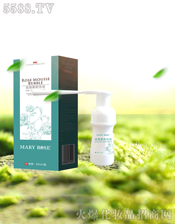 õ��Ľ˹����