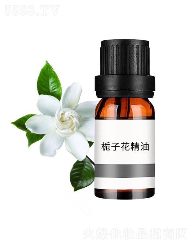 ���n�d�ӻ�����