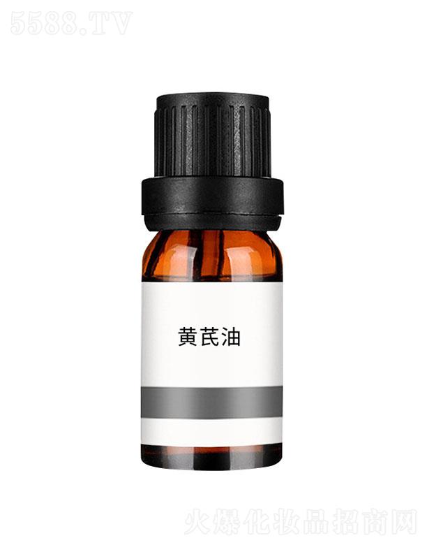 ���n�S����