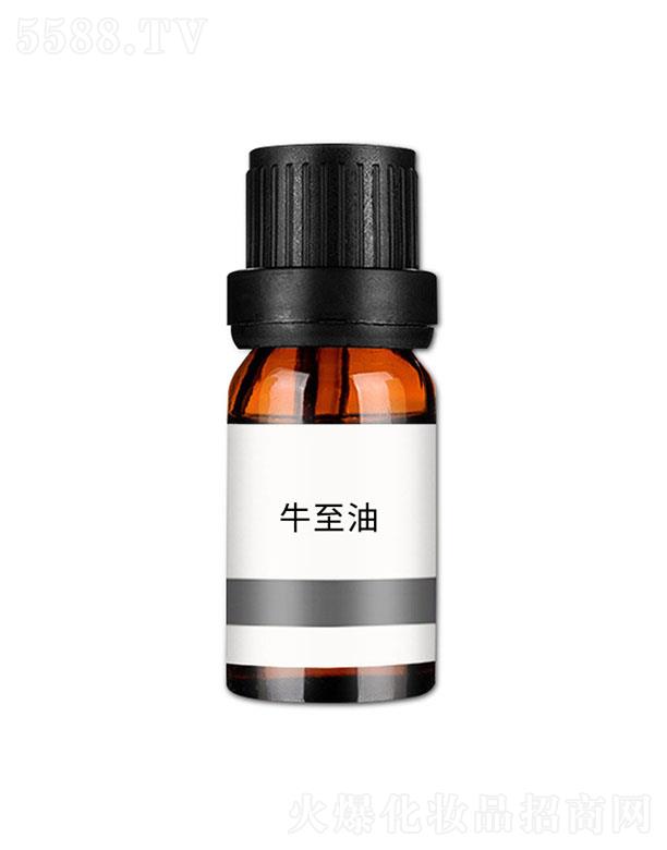 ���nţ����