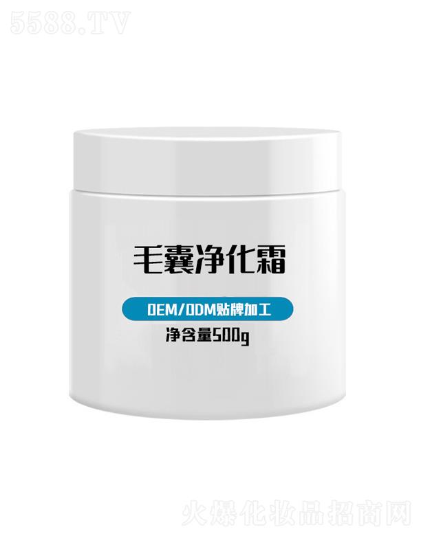 ë���坍˪ 500g