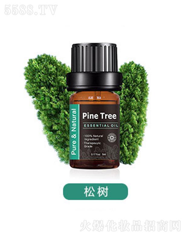 ���������η�����