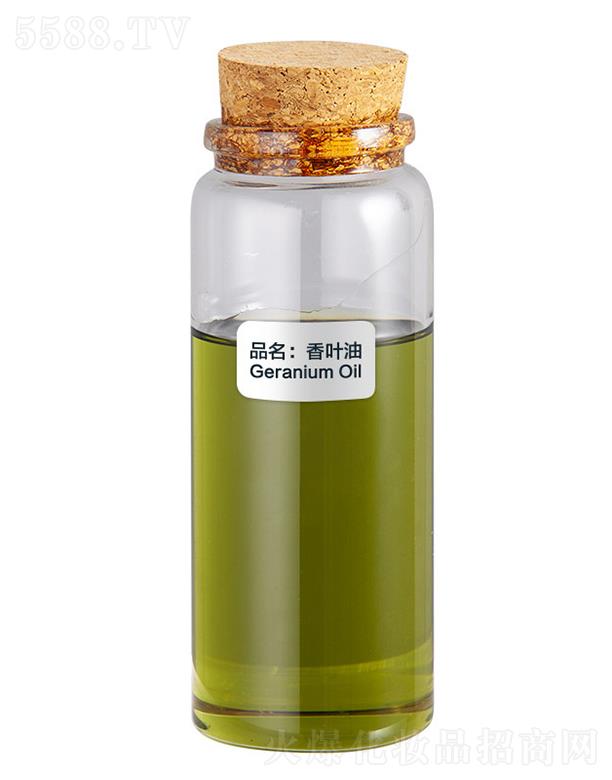 ɭ�����~��