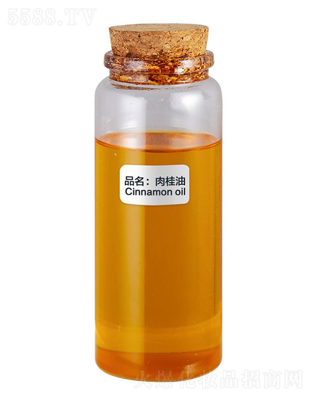 ɭ�������