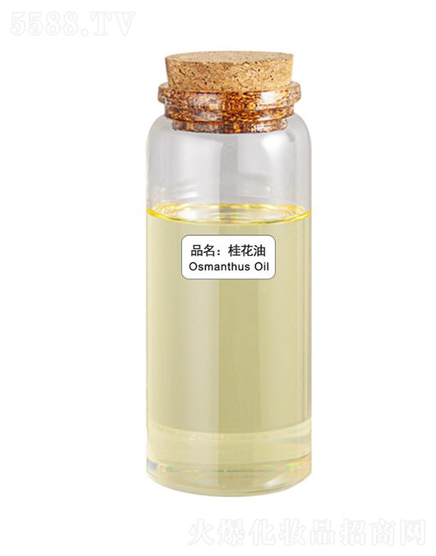 ɭ������