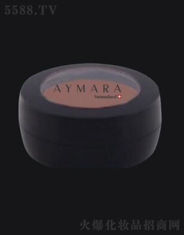 AYMARA���ݷ�