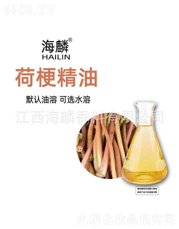 ����ɹ�����