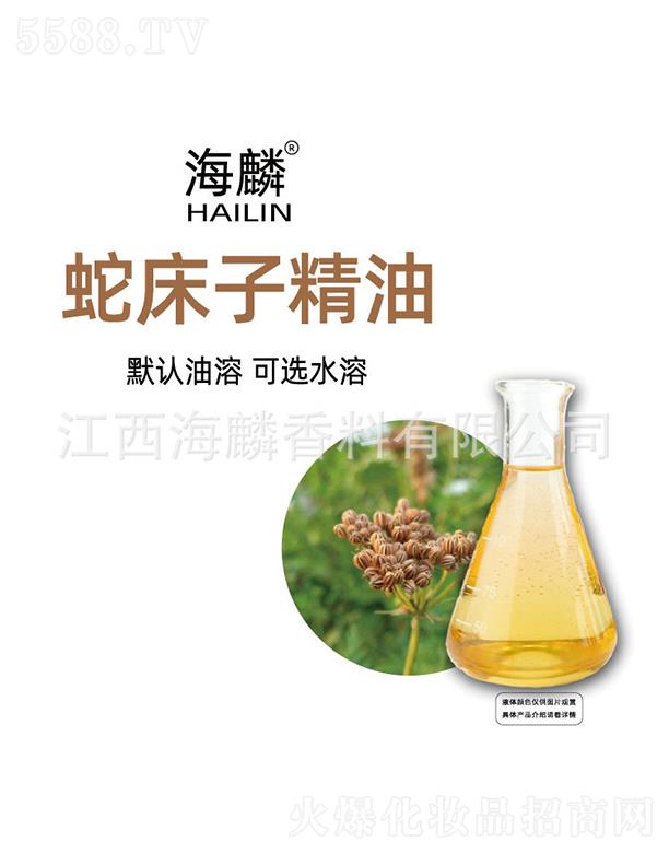 �����ߴ��Ӿ���