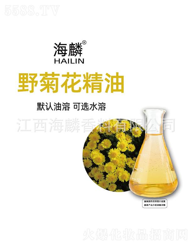 ����Ұ�ջ�����