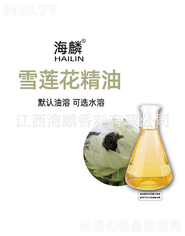 ����ѩɏ������