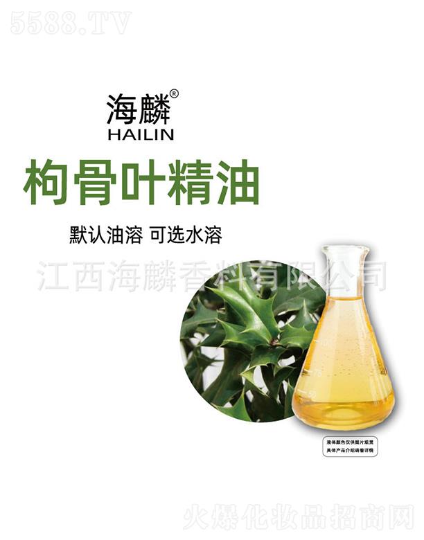 �����۹��~����