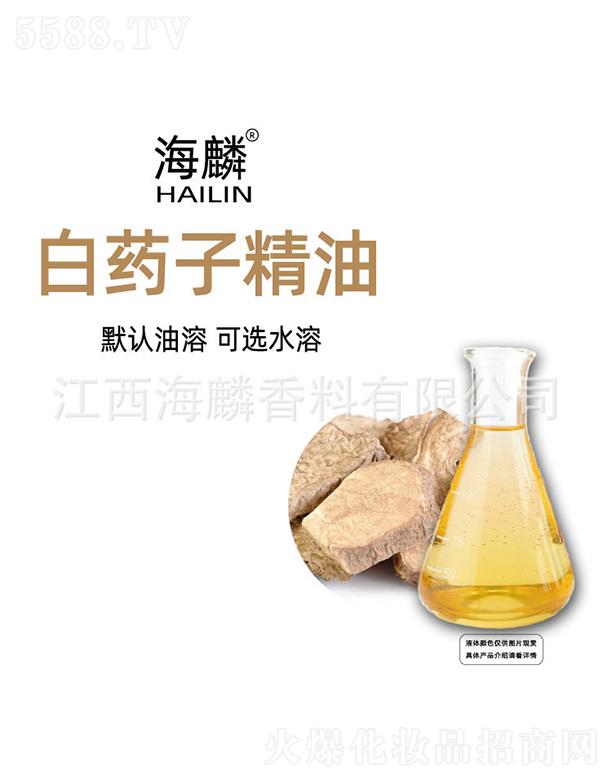 �����ˎ�Ӿ���