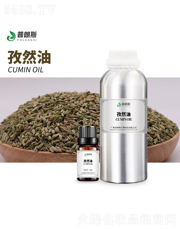 ����˹��Ȼ��