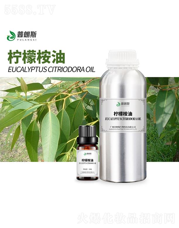 ����˹��������