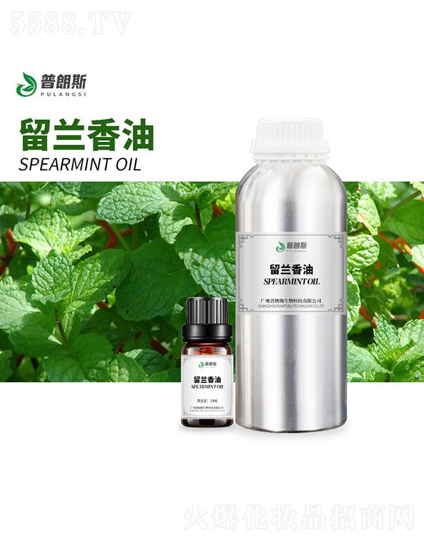 ����˹���m����